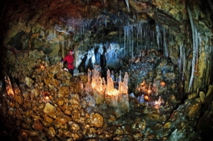Búri