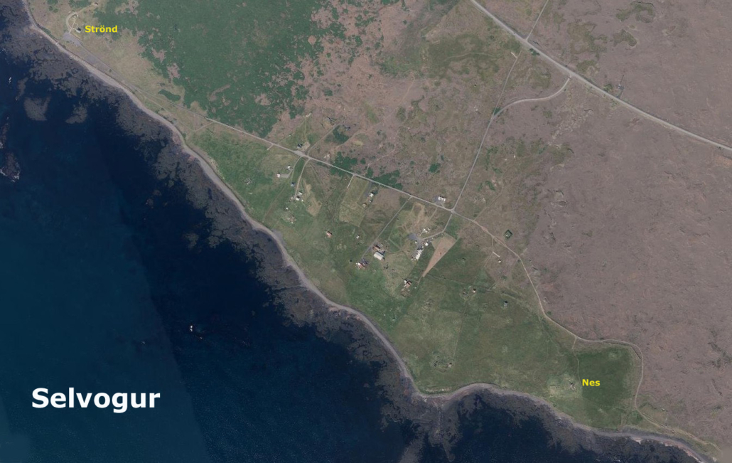 Selvogur