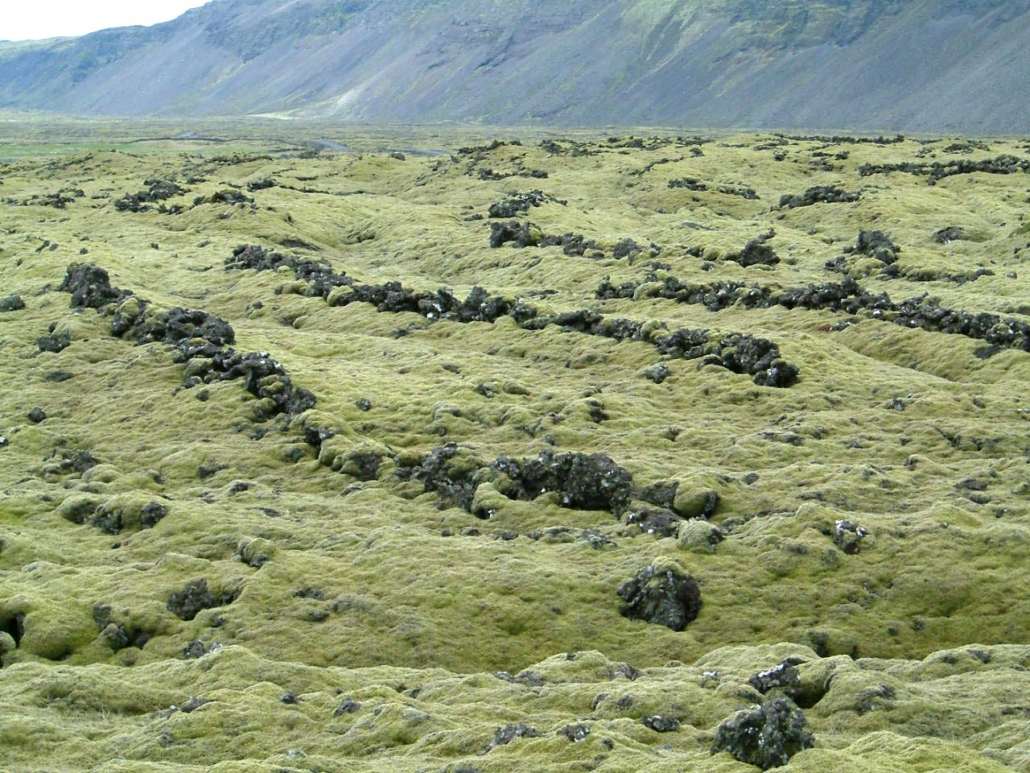 Herdísarvík