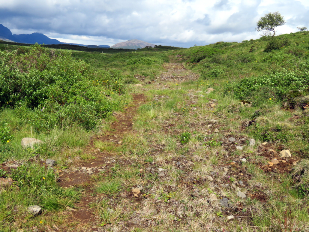 Konungsvegur