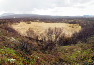 Þingvellir