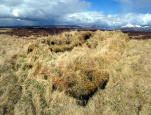 Þingvellir