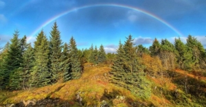 Gráhelluhraun