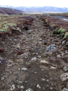 Brúsastaðir