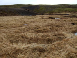 Kárastaðasel