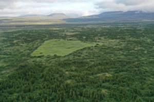 Þingvellir