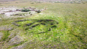 Bárukot