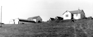 Fellsendi