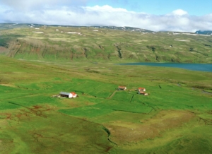 Fellsendi