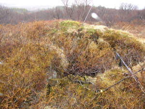 Gamli Þingvallahellir