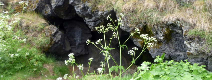 Hellisgerði