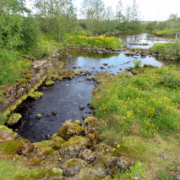 Lækjarbotnar-Gjótan-juli 2025 (10) Lækjarbotnar