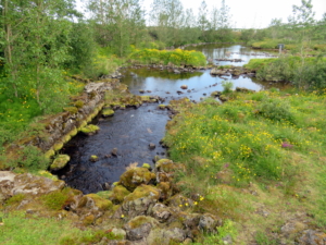 Lækjarbotnar