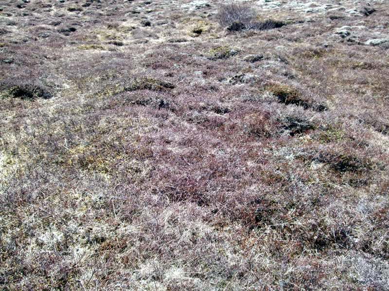 Mjóanessel – Ródólfsstaðir? – Ferlir