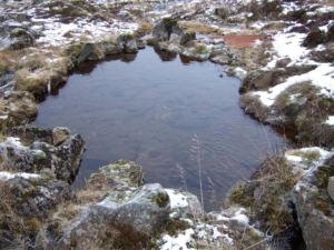 Lækjarbotnar