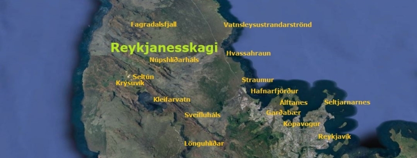 Reykjanesskagi