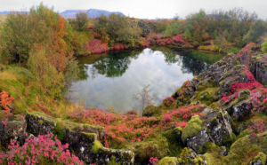 Þingvellir