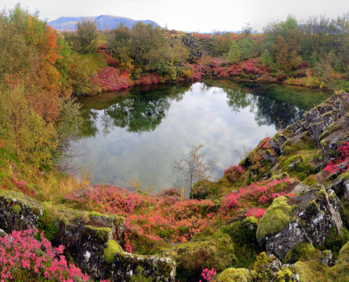 Þingvellir