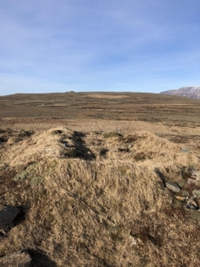 Suður-Reykir