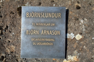 Björn Árnason