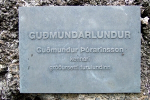 Guðmundur Þórarinsson