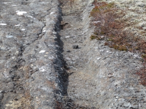 Skógfellavegur