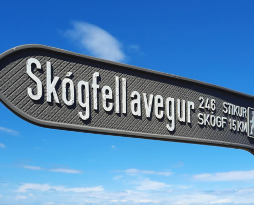 Skógfellavegur