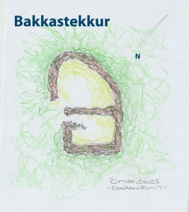 Bakkastekkur