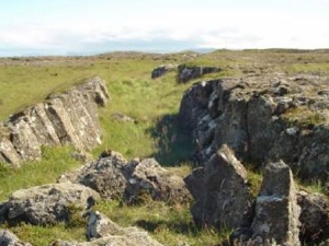 Staðarstekkur