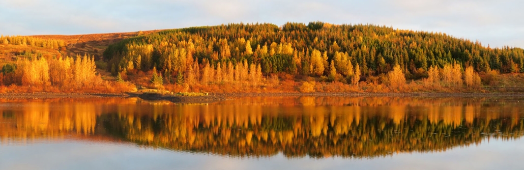 Vatnshlíð