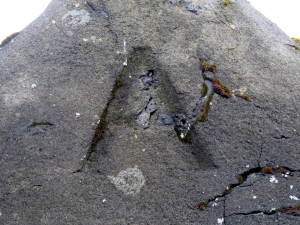 Langeyri