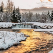 Elliðaá Elliðaár