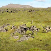 Gíghæð-Hraun-refagildra-ágúst 2025-pan-5 Hraun