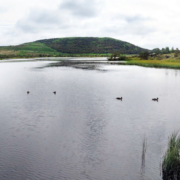 Urriðavatn-ágúst 2025-pan-4 Urriðavatn