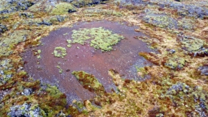 Rauðamelur