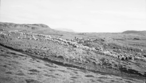 Brynjúlfur Jónsson