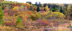 Sléttuhlíð
