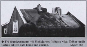 Stekkjarkot