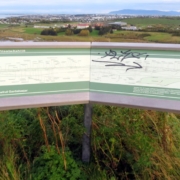 Vífilsstaðahlíð-Gunnhildur-Vífilsstaðavatn-Bakki-sept 2025 (15) Vífilsstaðahlíð