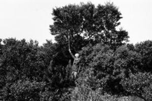 Björn Þorsteinsson