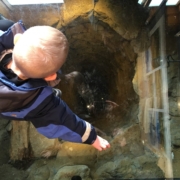 Duus-brunnur Duushús