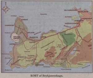 Reykjanesskaginn