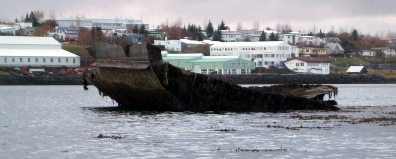 Óli Garða