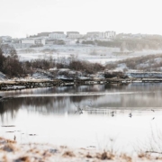 Grafarvogur_fridlysing-2 Grafarvogur