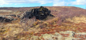 Urriðakotsfjárskjól