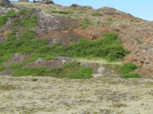 Fjallið eina
