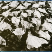 Saltfiskur