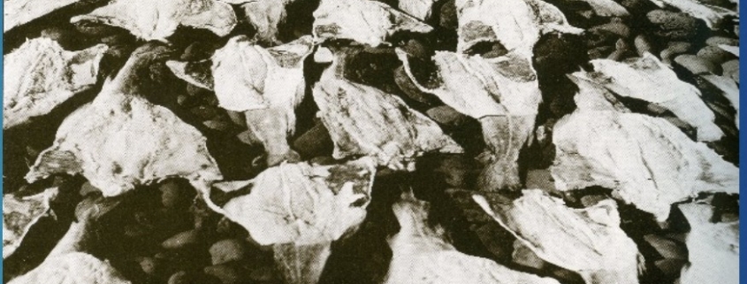 Saltfiskur