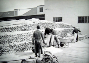 Saltfiskur