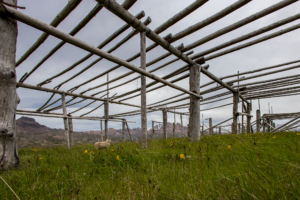 Trönur